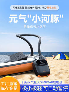 Cross-Border Outdoor Electric Air Pump Sup Paddle Board Assault Boat Rubber Boat Air Bed Tent Air Pump