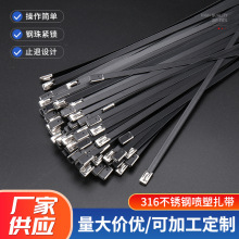 316���P䓇�������4.6x100 �S�ҬF؛��ɫ�������� ������|������