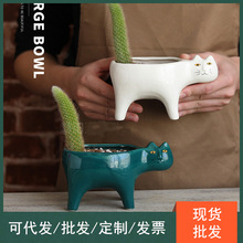 跨境园艺亚马逊猫咪尾巴多肉仙人掌陶瓷花盆卡通可爱个性摆件批发