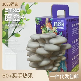 仙人掌及多肉