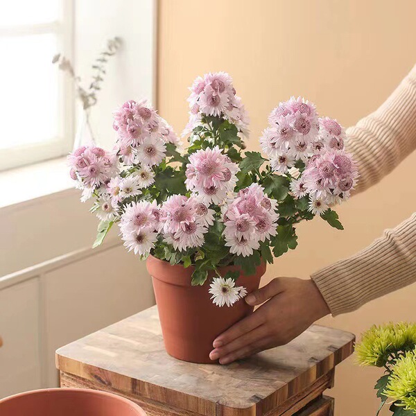 Ceramic breathable flowerpot