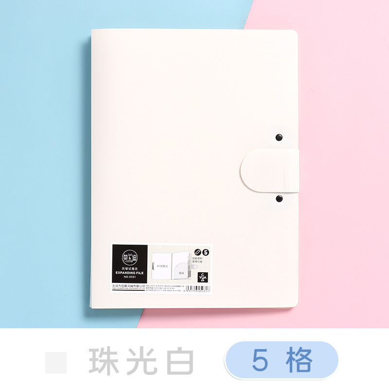 Multi-Pocket Plastic A4 Organizer File