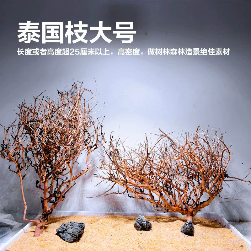 Тонущие деревянные тайские ветви, натуральный ландшафтный дизайн, ветви корней рододендрона в форме дерева, соединение мховых деревьев, резервуар для водных растений, материал для ландшафтного дизайна леса