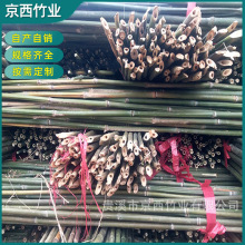 供应菜园搭架细竹杆毛竹竿 庭院装饰篱笆围栏粗竹竿大毛竹竿