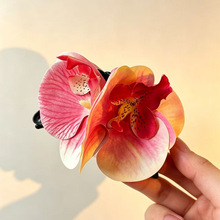 仿真蝴蝶兰花朵抓夹春夏度假发饰波西米亚发抓沙滩发饰花发夹拍照