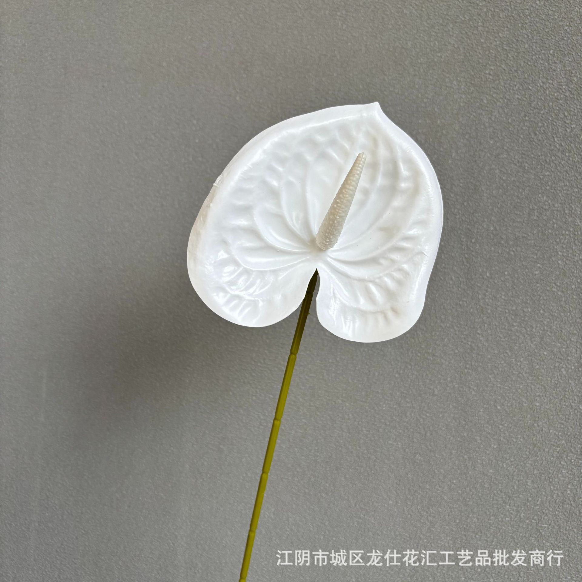 작은 손바닥