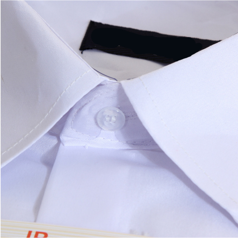 4395ba9327443a314a21ceaed60516