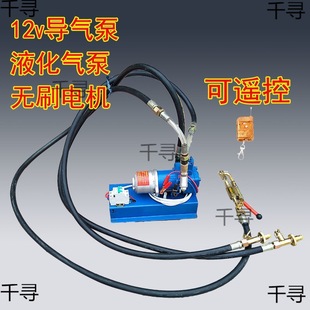 12V liquefied gas pilot air pump mobile portable car compressor air pump small air pump small air pump