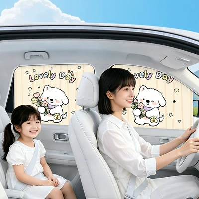 Car curtains — Windows