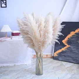 干花;永生花;鲜花花艺制品