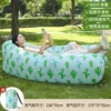 Pillow, cactus