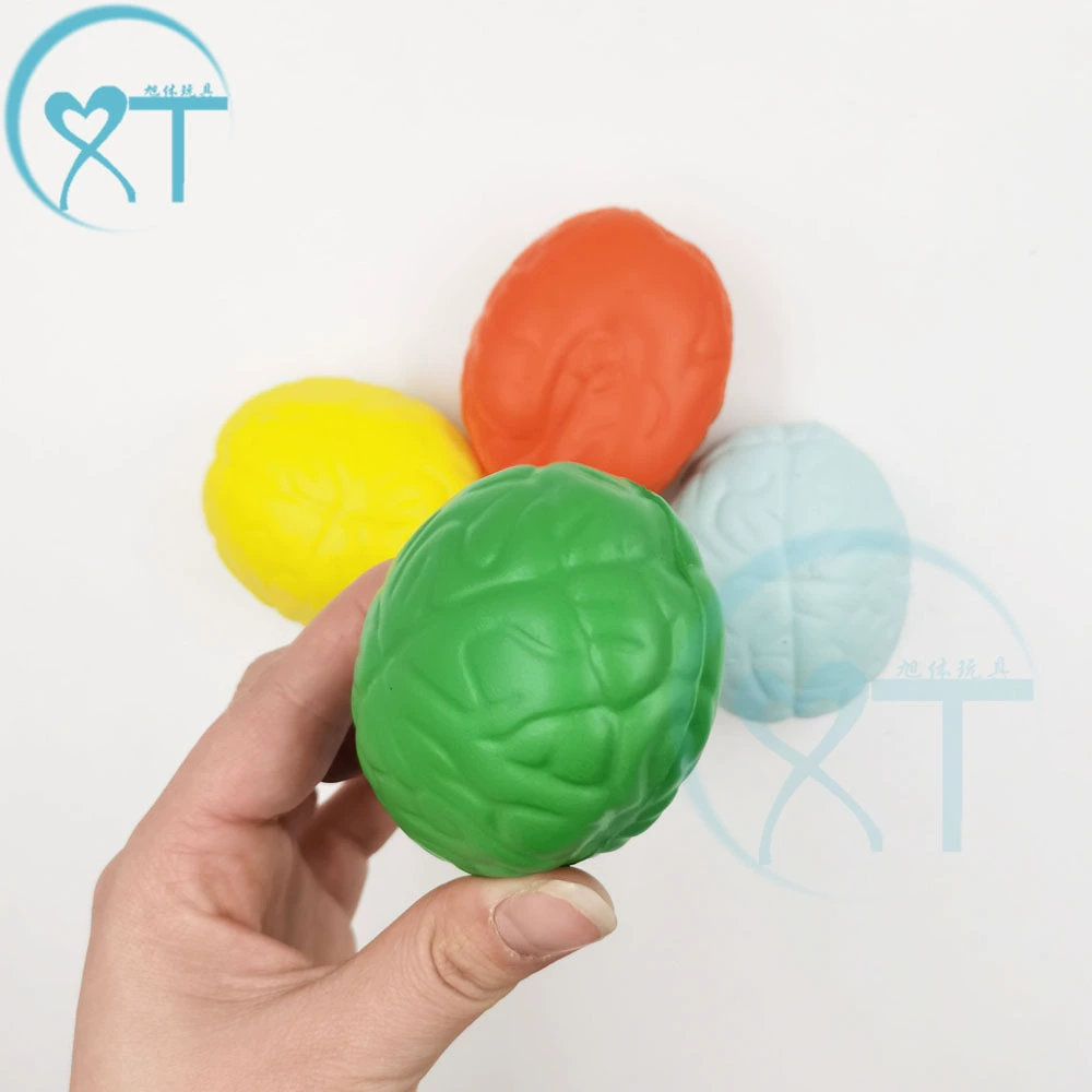 Трансграничный горячий полиуретановый шарик давления вспенивающийся мозговой шарик давления Медицинские Учебные пособия орган давление шарика печати производителей логотипов