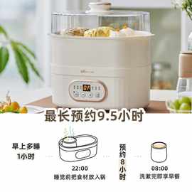 Bear/小熊 DDZ-C10V1电炖盅隔水炖带蒸1人迷你上蒸下炖煮粥煲汤锅