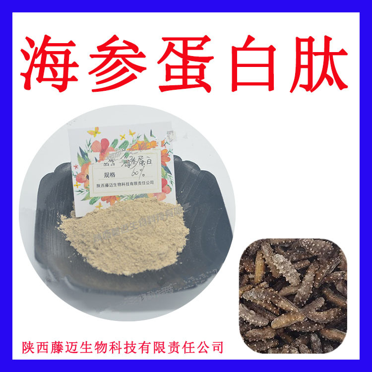 海参肽粉60%无中间商海参提取物支持检测海参蛋白粉
