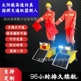 交通警示灯;其他车灯;交通信号系统