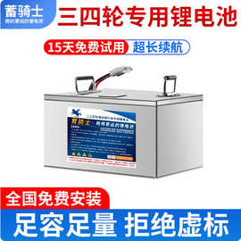 电芯大单体铁锂电摩专用72v60v三轮车48v60ah80KM电动车锂电池