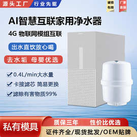 净水器厨下式反渗透净水机家用直饮机物联网模式6分出水口