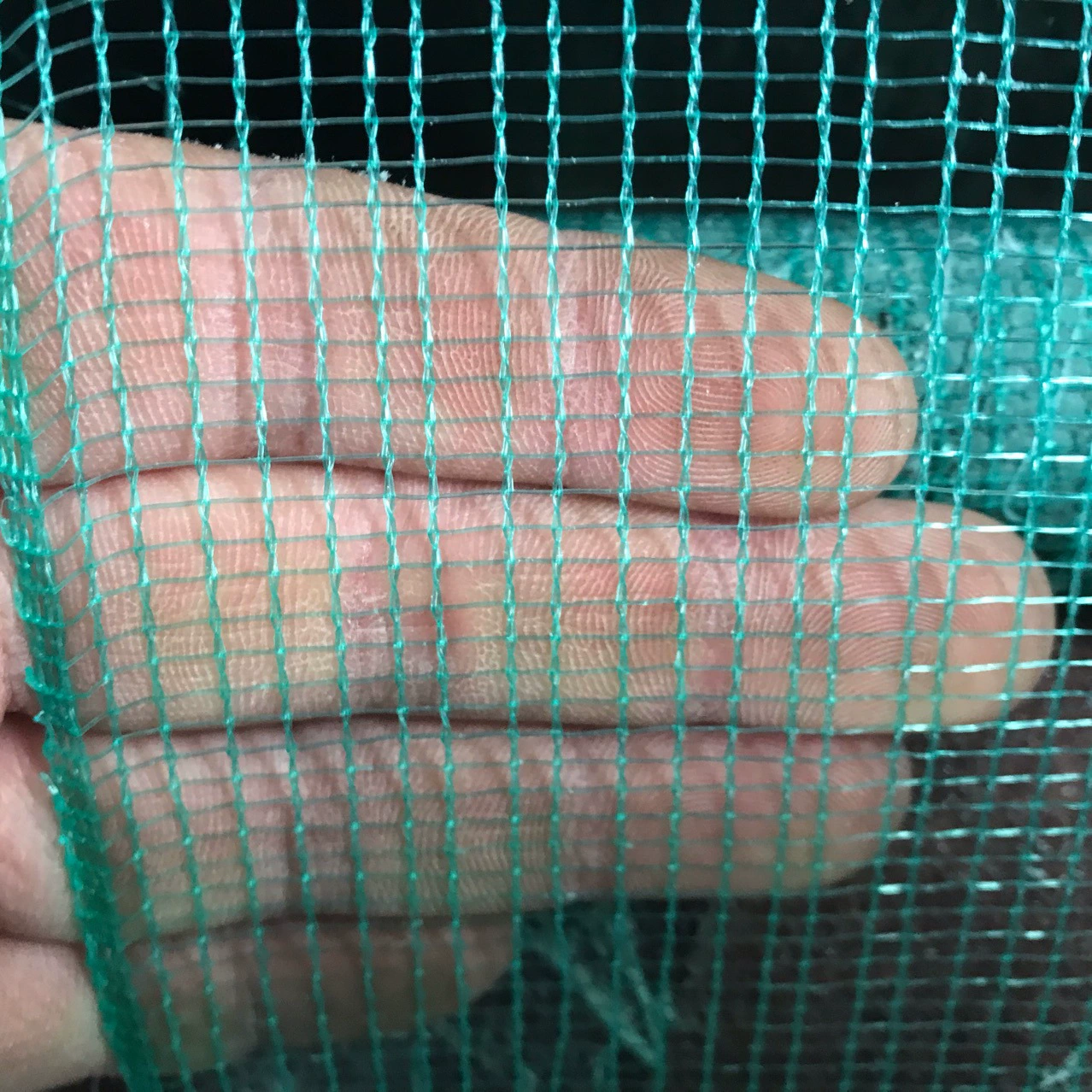 Трехкрученная сетчатая сумка-лягушка и плоская сетчатая ткань для пищевого стола