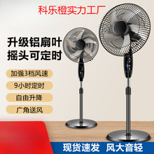 ���u��L�ȼ�������������o���L�șCе�u�^���r��ʽ���L�����b��