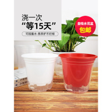 透明花盆懒人自动吸水垂吊高款圆形塑料加厚储水培绿萝吊兰养跨境