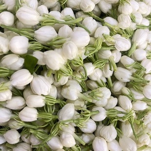 �V�� ���r���� �����r�� �����ִ��֭h ���r���� �[���r��