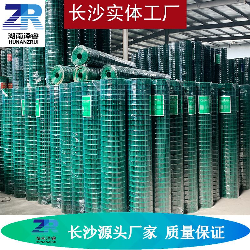 厂家供应养殖防护网围铁丝网荷兰网钢丝网围墙养鸡养鸭场围栏网