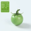 Single foam cherry tomato green