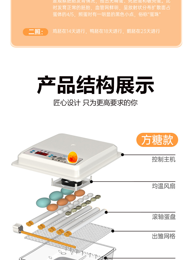 ?化完成_10.jpg