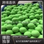 运动国外定制批量pu球