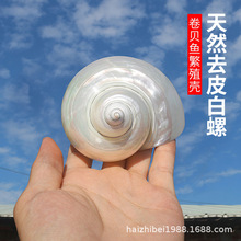 ���l��Ȼ����ؐ��ȥƤ������~���쾰�[����ؐ�~�ľ�з��ֳ��Q��