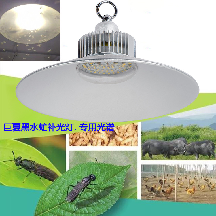 黑水虻养殖补光灯led仿太阳光虫卵生长灯 室内昆虫光合作用产卵|ru