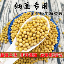 东北极小粒珍珠粒金黄豆690纳豆豆浆豆腐发豆芽芽豆