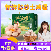 【嚴選】農家散養玉米黃雞蛋 代發30枚禮盒新鮮柴草雞蛋非烏雞蛋