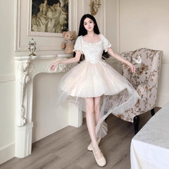 大きいサイズの婦人服の大きい蝶結びの王女のスカート