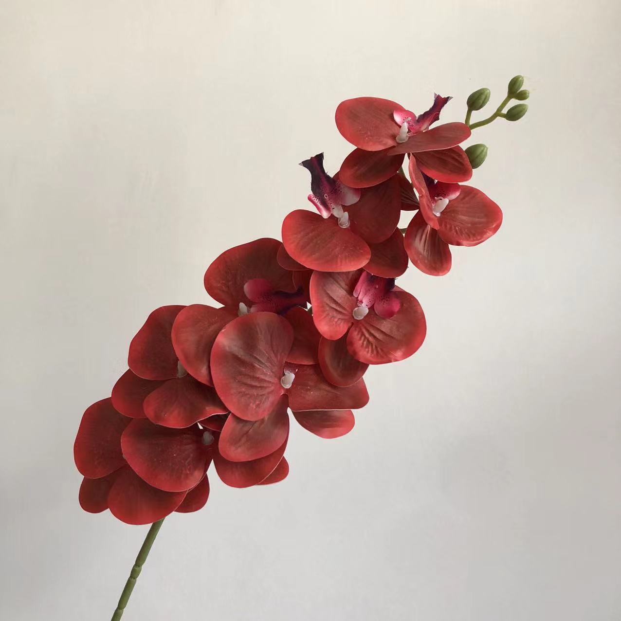 밝은 빨간색