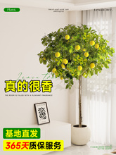 ˮʘԎʳϘļ҃ȿ͏d̨BGֲﻨ