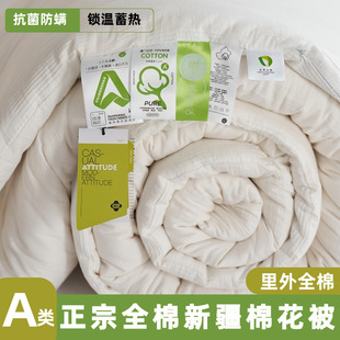Class a Pure Cotton Xinjiang Cotton Quilt Maternal and Infant Grade Pure Cotton Quilt Four-Season Core Double Winter Quilt Spring & Fall Single Cotton Quilt