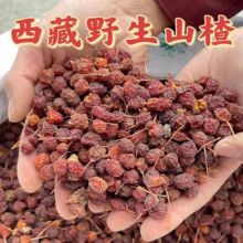 西藏波密无硫新货泡水泡酒山楂干厂批发工厂一件批发包邮亚马逊