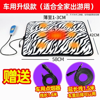 Intelligent Massage Cushion for Buttocks and – Masaj avadanlığı - leopard-print-car-upgrade-model-line-length-304m-15