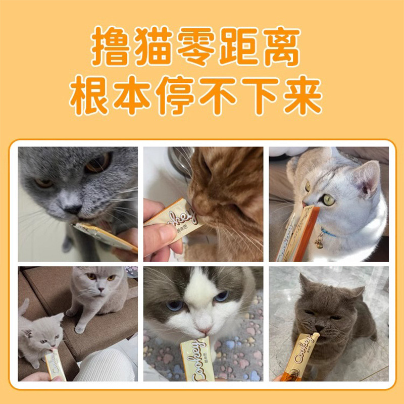 100 bocadillos de barras de gatos, caja entera sin seductores, gatos enlatados, gatos pequeños, mascotas insignia, bocadillos para gatos.