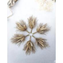 ����ɻ��b�܇�d��β���JȔ�Y�л����M���ǻ�Y�ػ����ֶY�ֹ�