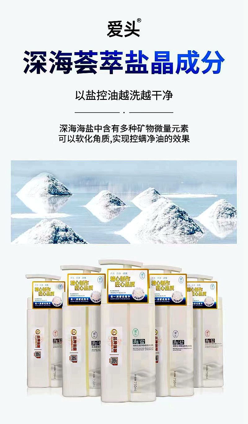 微信图片_20240725115838.jpg