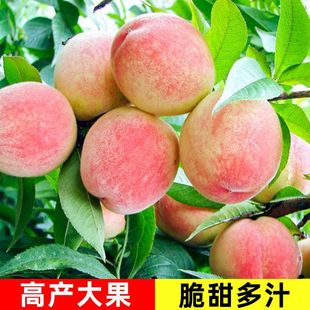 ��Դ�^���ء��Ҙ���޽�ˮ�����Ә������Ե����Ϸ������Nֲ�ͺ���