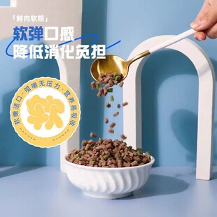 �����͜غ���ܛ�Z������Ȯ�u������¹��ȫ�r�決ܛ�Zͨ��6�q����