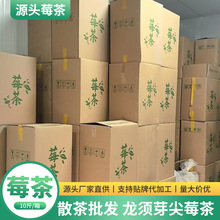 2026张家界核心产区长寿村莓茶高山云雾莓茶龙须芽头散茶产地直供