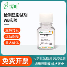 源叶检测显影试剂化学合集化学发光检测荧光检测通用显影液稀释液
