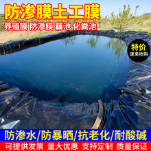 鱼塘防渗膜加厚防水布油布帆布塑料薄膜养殖膜护坡膜土工膜防水珍