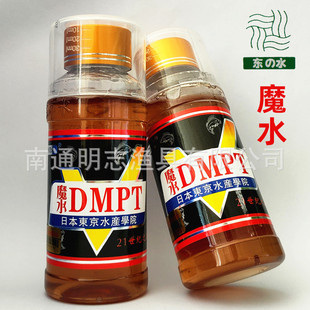 �|֮ˮħˮ160���� �~�D�C���T��DMPT��~�D�����ӄ������~�D�C��