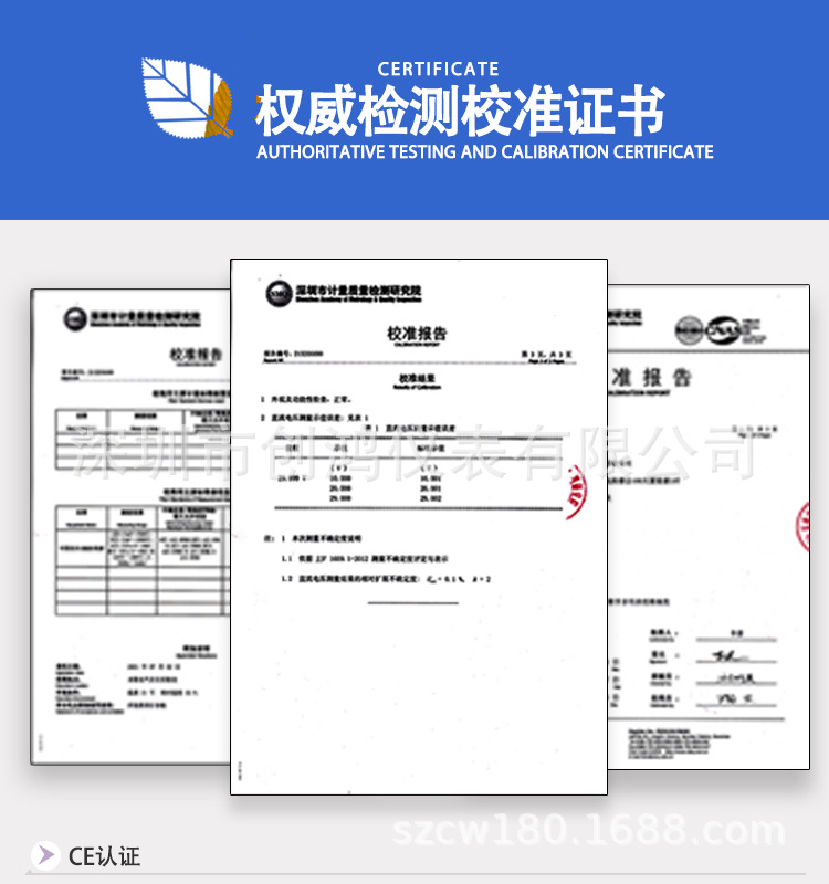 DSW-9902智能电参数盘面表祥情
