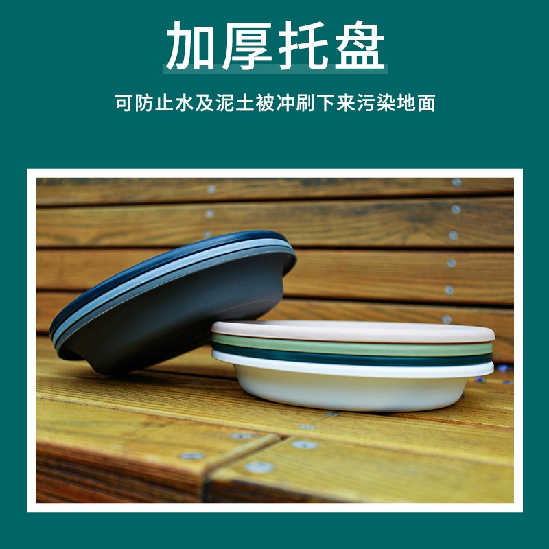 爱丽思 Deepot Nordic Simple Root Root Renolun Pot Rose West Global Green Polytic Plastic Plaster Basin